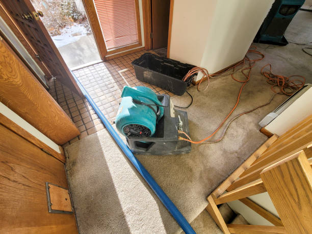 Best Flood restoration services  in St Clair, PA