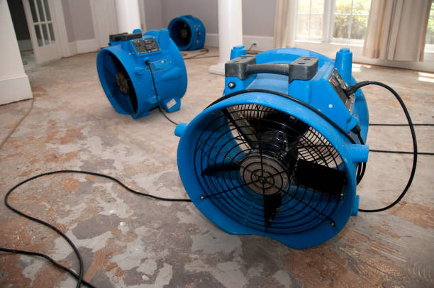 Best Carpet water damage restoration  in St Clair, PA