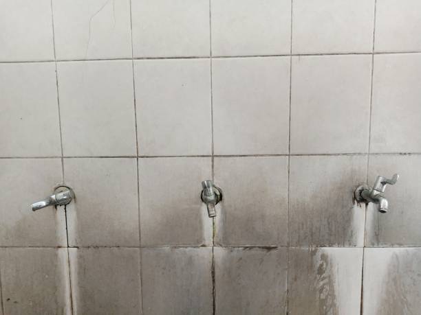 Best 24/7 water damage repair  in St Clair, PA